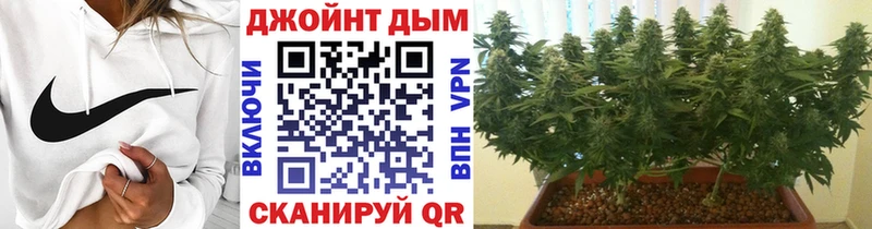 Конопля THC 21%  Купить  Судогда 